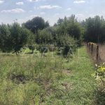Продаж земельної ділянки, 16 соток, Іванковичі | 1