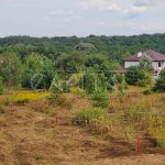 Продаж земельної ділянки, 24.4 соток, Горбовичі | 6