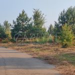 Продаж земельної ділянки, 24.4 соток, Горбовичі | 7