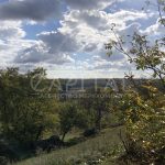 Продаж земельної ділянки, 2990 соток, Мала Вільшанка | 1