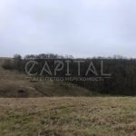 Продаж земельної ділянки, 400 соток, Мала Вільшанка | 2