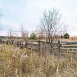 Продаж будинку 1000м², 50 соток, Музичі | 12