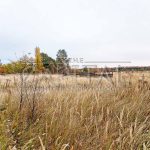 Продаж будинку 1000м², 50 соток, Музичі | 14
