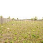 Продаж земельної ділянки, 60 соток, Романків | 5
