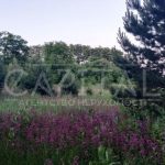 Продаж земельної ділянки, 491 соток, Горбовичі | 7