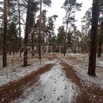 Продаж земельної ділянки, 180 соток, Пісківка | 12