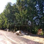 Продаж земельної ділянки, 40 соток, Лісники | 15