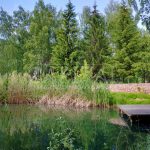 Продаж земельної ділянки, 200 соток, Гнідин | 20