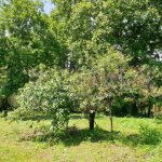 Продаж земельної ділянки, 26 соток, Київ | 16