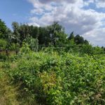 Продаж земельної ділянки, 600 соток, Проців | 17