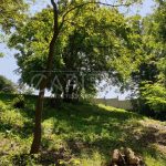 Продаж земельної ділянки, 26 соток, Київ | 25