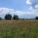 Продаж земельної ділянки, 600 соток, Проців | 13