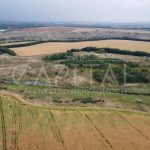 Продаж земельної ділянки, 2000 соток, Барахти | 1