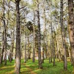 Продажа помещений Обуховский район | 20