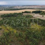 Продаж земельної ділянки, 2000 соток, Барахти | 3