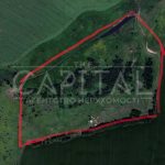 Продаж земельної ділянки, 2000 соток, Барахти | 4