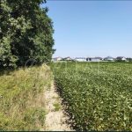 Продаж земельної ділянки, 141 соток, Крюківщина | 12