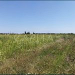 Продаж земельної ділянки, 141 соток, Крюківщина | 14