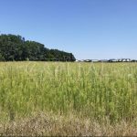 Продаж земельної ділянки, 141 соток, Крюківщина | 10