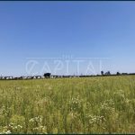 Продаж земельної ділянки, 141 соток, Крюківщина | 5