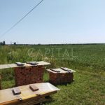 Продаж земельної ділянки, 141 соток, Крюківщина | 6