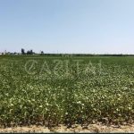 Продаж земельної ділянки, 141 соток, Крюківщина | 2
