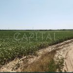 Продаж земельної ділянки, 141 соток, Крюківщина | 13