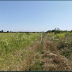 Продаж земельної ділянки, 141 соток, Крюківщина | 8