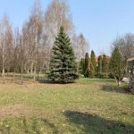Продаж будинку 150м², 100 соток, Вишеньки | 16