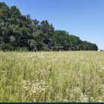 Продаж земельної ділянки, 141 соток, Крюківщина | 1