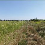 Продаж земельної ділянки, 141 соток, Крюківщина | 11