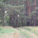 Продаж земельної ділянки, 346 соток, Шпитьки | 3