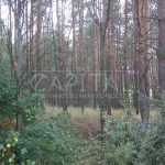 Продаж земельної ділянки, 346 соток, Шпитьки | 4