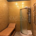 Оренда будинку 450м², 18 соток, Петропавлівська Борщагівка | 10