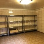 Оренда будинку 450м², 18 соток, Петропавлівська Борщагівка | 19