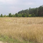 Продаж земельної ділянки, 346 соток, Шпитьки | 1