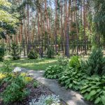 Продаж будинку 150м², 12 соток, Перевіз | 4