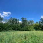 Продаж земельної ділянки, 100 соток, Тарасівка | 2