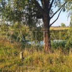 Продаж земельної ділянки, 200 соток, Димер | 19
