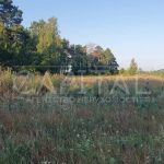 Продаж земельної ділянки, 200 соток, Димер | 17