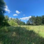 Продаж земельної ділянки, 100 соток, Тарасівка | 13