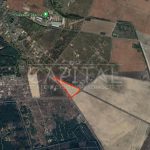 Продаж земельної ділянки, 790 соток, Рожівка | 4
