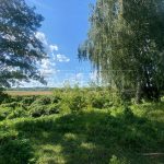 Продаж земельної ділянки, 100 соток, Тарасівка | 7