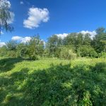 Продаж земельної ділянки, 100 соток, Тарасівка | 1