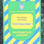 Продаж будинку 314м², 20 соток, Горбовичі | 15