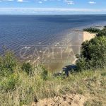 Продаж земельної ділянки, 54 соток, Нові Петрівці | 6