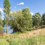 Продаж земельної ділянки, 186 соток, Новосілки | 2