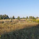 Продаж земельної ділянки, 200 соток, Димер | 8
