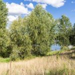 Продаж земельної ділянки, 186 соток, Новосілки | 8