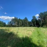 Продаж земельної ділянки, 100 соток, Тарасівка | 5
